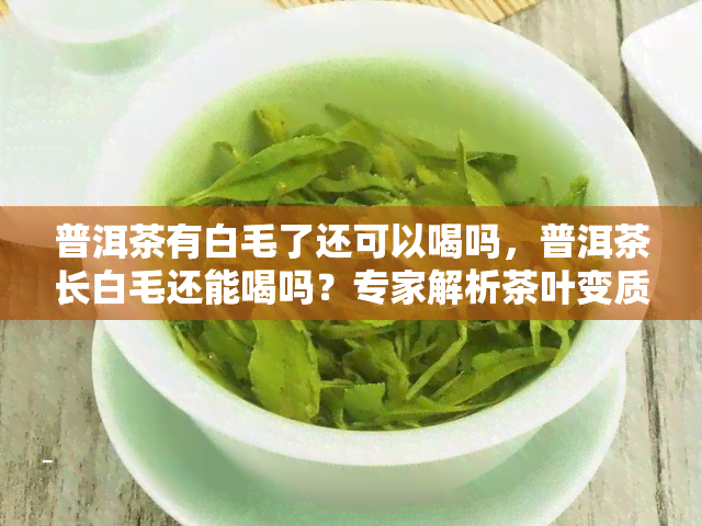 普洱茶有白毛了还可以喝吗，普洱茶长白毛还能喝吗？专家解析茶叶变质问题