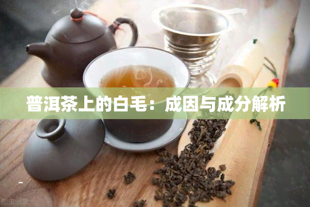 普洱茶上的白毛：成因与成分解析