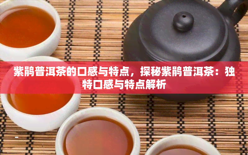 紫鹃普洱茶的口感与特点，探秘紫鹃普洱茶：独特口感与特点解析