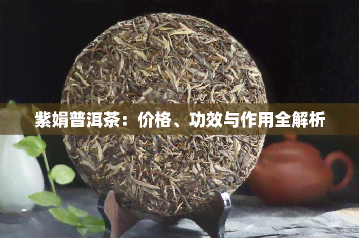 紫娟普洱茶：价格、功效与作用全解析