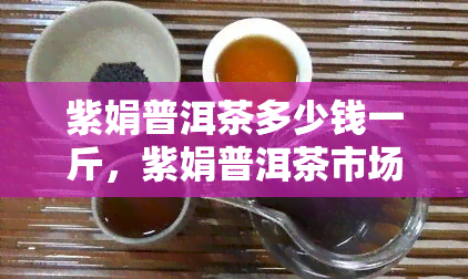 紫娟普洱茶多少钱一斤，紫娟普洱茶市场价格一览，一斤多少钱？