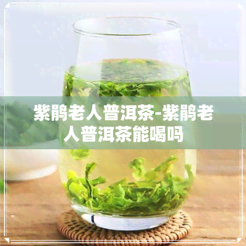 紫鹃老人普洱茶-紫鹃老人普洱茶能喝吗