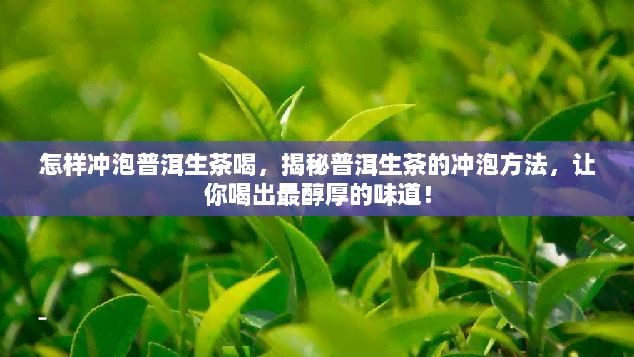 怎样冲泡普洱生茶喝，揭秘普洱生茶的冲泡方法，让你喝出最醇厚的味道！