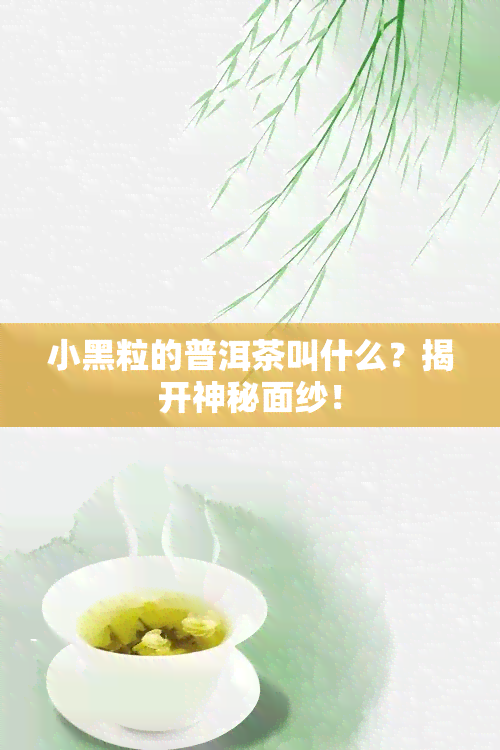 小黑粒的普洱茶叫什么？揭开神秘面纱！