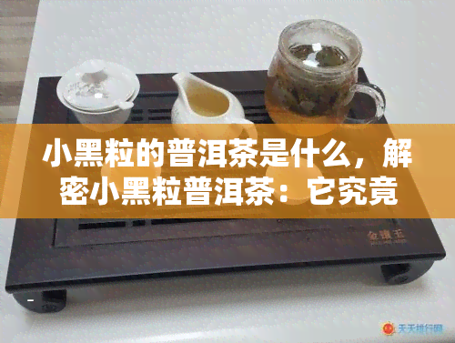 小黑粒的普洱茶是什么，解密小黑粒普洱茶：它究竟是什么？