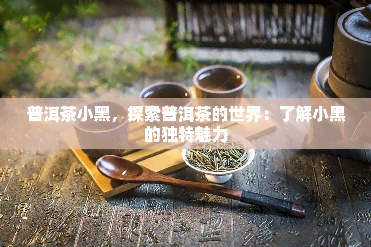 普洱茶小黑，探索普洱茶的世界：了解小黑的独特魅力