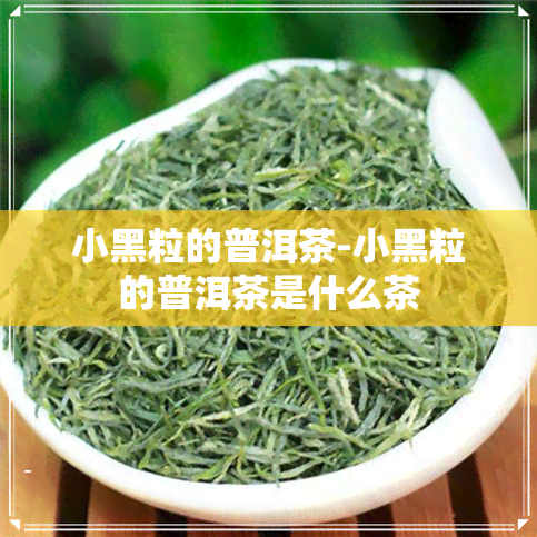 小黑粒的普洱茶-小黑粒的普洱茶是什么茶