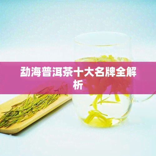 勐海普洱茶十大名牌全解析