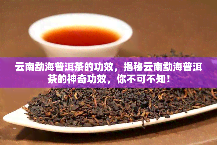 云南勐海普洱茶的功效，揭秘云南勐海普洱茶的神奇功效，你不可不知！