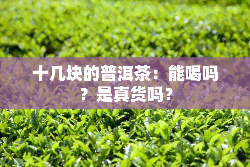 十几块的普洱茶：能喝吗？是真货吗？