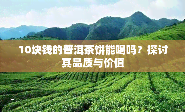 10块钱的普洱茶饼能喝吗？探讨其品质与价值