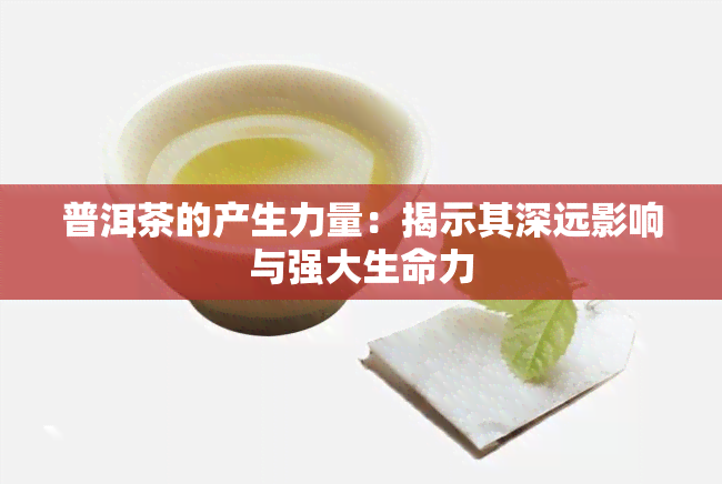 普洱茶的产生力量：揭示其深远影响与强大生命力