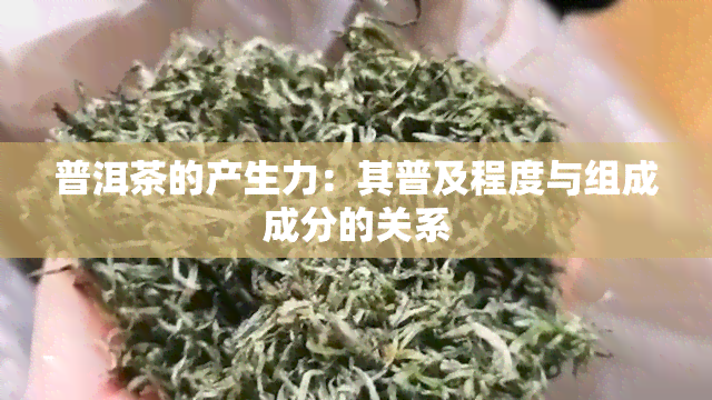 普洱茶的产生力：其普及程度与组成成分的关系