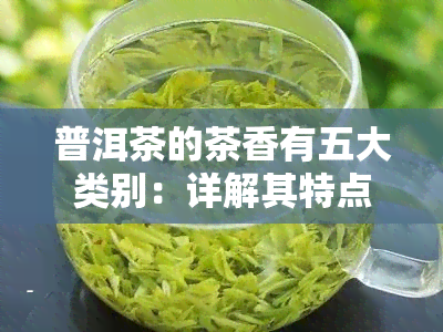 普洱茶的茶香有五大类别：详解其特点与分类方法