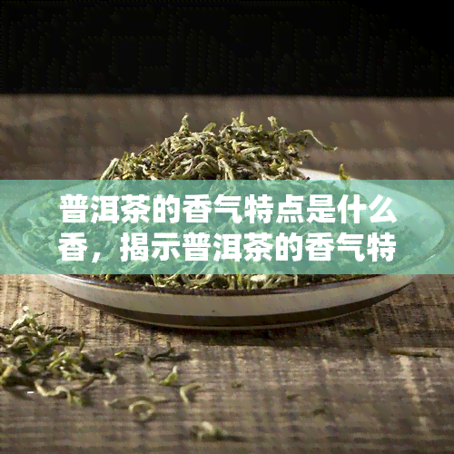 普洱茶的香气特点是什么香，揭示普洱茶的香气特点：独特香型解析