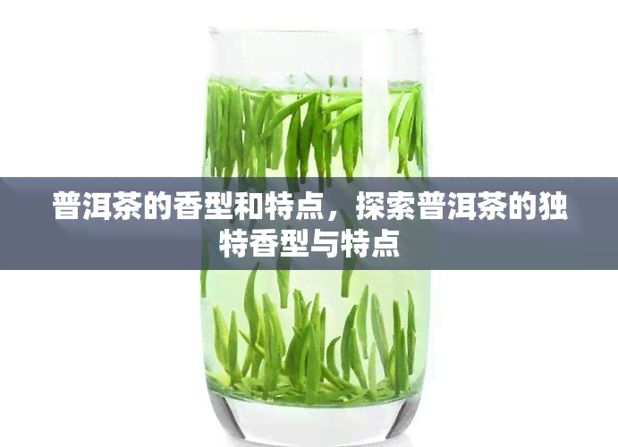 普洱茶的香型和特点，探索普洱茶的独特香型与特点