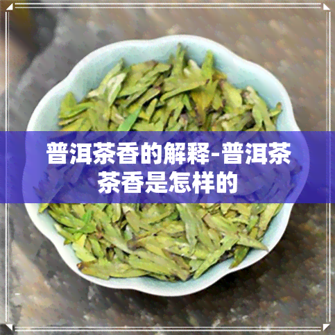 普洱茶香的解释-普洱茶茶香是怎样的