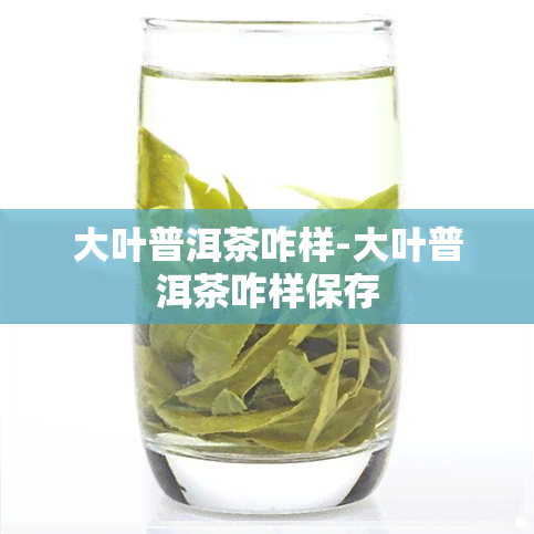 大叶普洱茶咋样-大叶普洱茶咋样保存