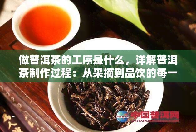 做普洱茶的工序是什么，详解普洱茶制作过程：从采摘到品饮的每一个步骤