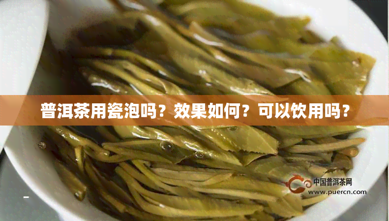 普洱茶用瓷泡吗？效果如何？可以饮用吗？