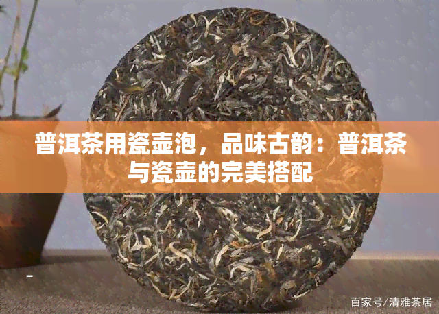 普洱茶用瓷壶泡，品味古韵：普洱茶与瓷壶的完美搭配