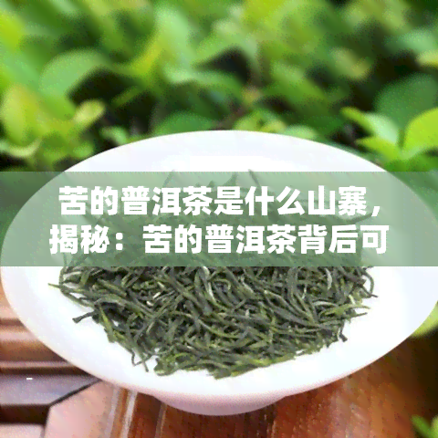 苦的普洱茶是什么山寨，揭秘：苦的普洱茶背后可能隐藏的山寨问题