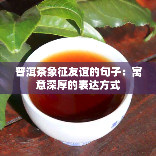 普洱茶象征友谊的句子：寓意深厚的表达方式