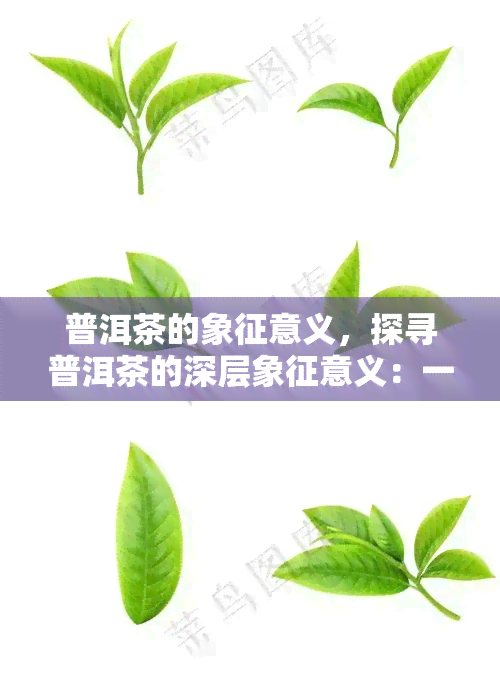 普洱茶的象征意义，探寻普洱茶的深层象征意义：一种历、文化和身份的号