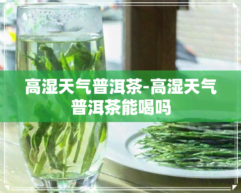 高湿天气普洱茶-高湿天气普洱茶能喝吗