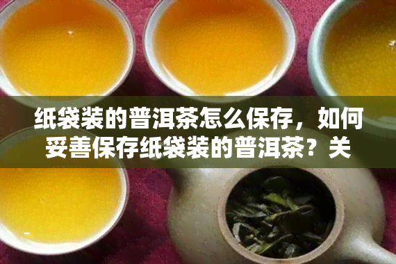 纸袋装的普洱茶怎么保存，如何妥善保存纸袋装的普洱茶？关键步骤大揭秘！