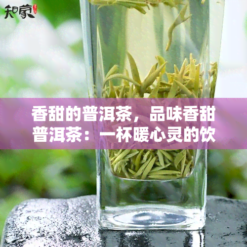 香甜的普洱茶，品味香甜普洱茶：一杯暖心灵的饮品