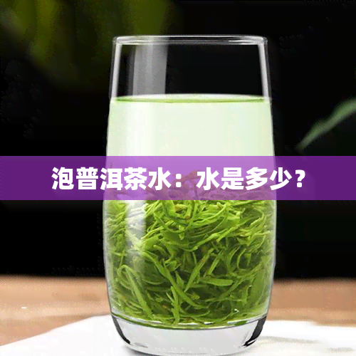 泡普洱茶水：水是多少？