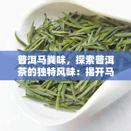 普洱马粪味，探索普洱茶的独特风味：揭开马粪味的神秘面纱