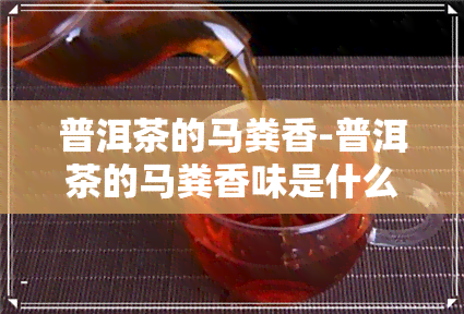 普洱茶的马粪香-普洱茶的马粪香味是什么