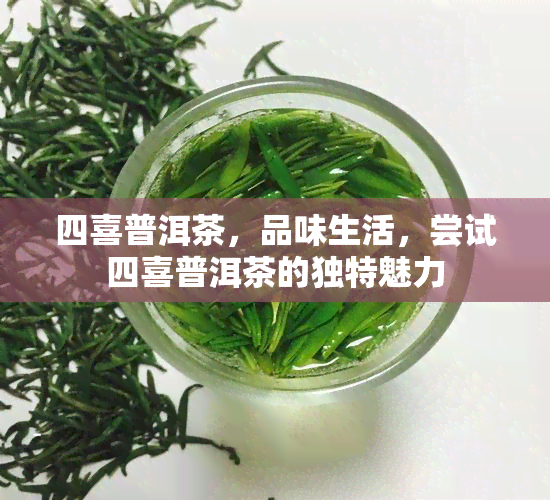 四喜普洱茶，品味生活，尝试四喜普洱茶的独特魅力