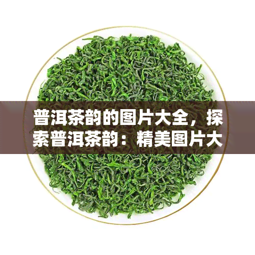 普洱茶韵的图片大全，探索普洱茶韵：精美图片大全一览