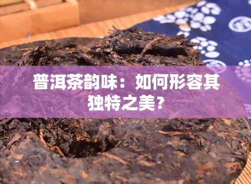 普洱茶韵味：如何形容其独特之美？