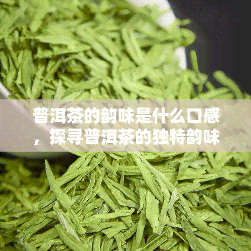 普洱茶的韵味是什么口感，探寻普洱茶的独特韵味：口感解析