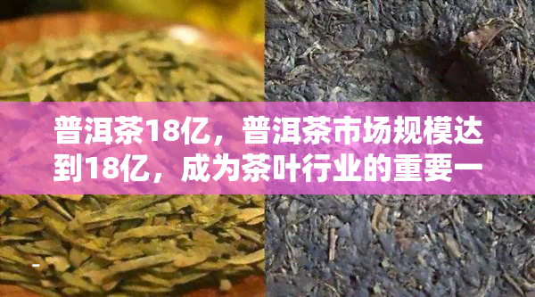 普洱茶18亿，普洱茶市场规模达到18亿，成为茶叶行业的重要一环