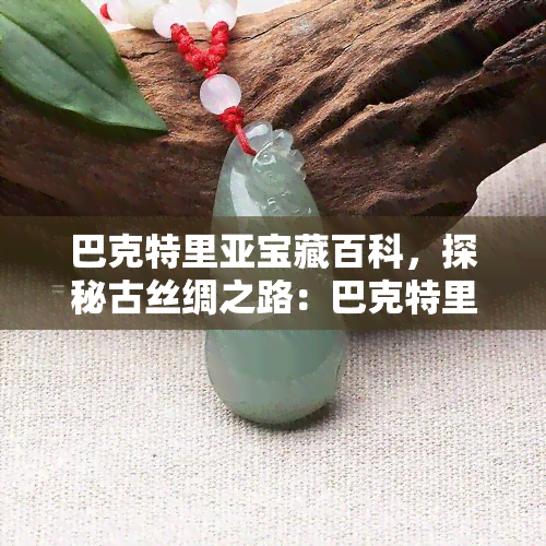 巴克特里亚宝藏百科，探秘古丝绸之路：巴克特里亚宝藏百科