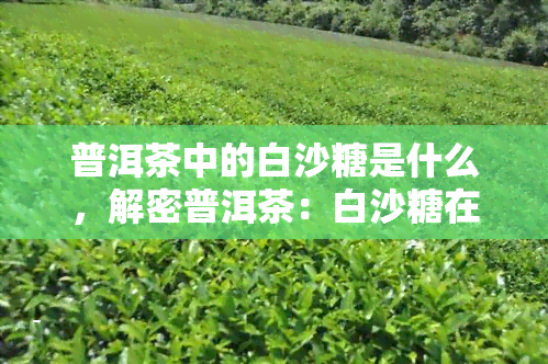 普洱茶中的白沙糖是什么，解密普洱茶：白沙糖在其中的作用与意义