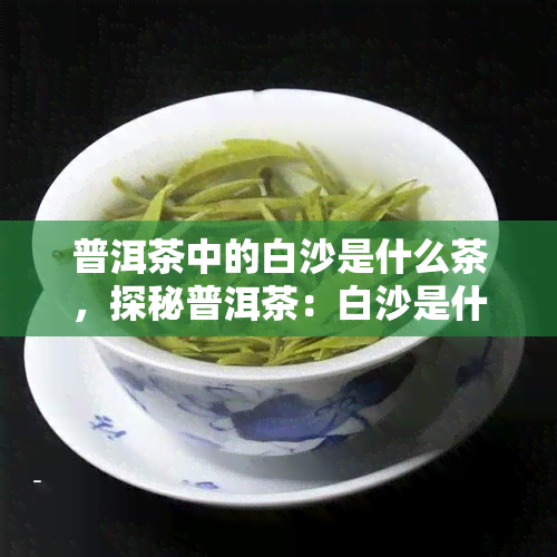 普洱茶中的白沙是什么茶，探秘普洱茶：白沙是什么茶？