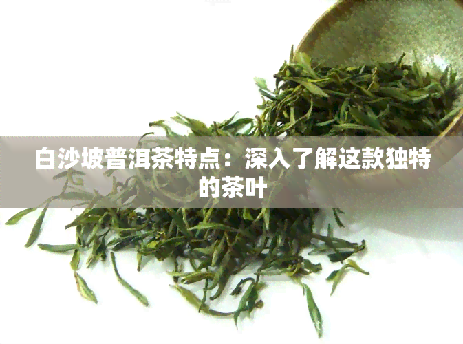 白沙坡普洱茶特点：深入了解这款独特的茶叶