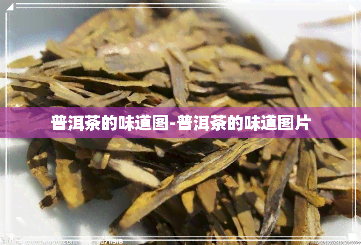 普洱茶的味道图-普洱茶的味道图片