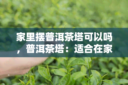 家里摆普洱茶塔可以吗，普洱茶塔：适合在家里摆放的茶叶装饰品吗？