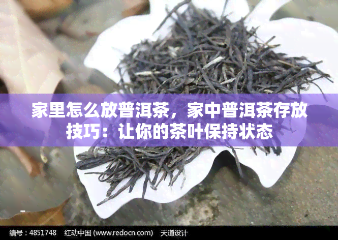 家里怎么放普洱茶，家中普洱茶存放技巧：让你的茶叶保持状态