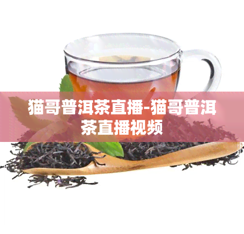 猫哥普洱茶直播-猫哥普洱茶直播视频