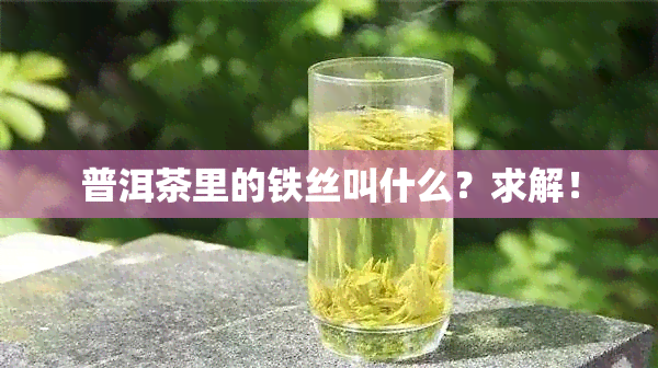 普洱茶里的铁丝叫什么？求解！