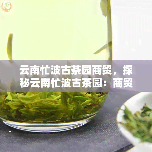 云南忙波古茶园商贸，探秘云南忙波古茶园：商贸公司的独特魅力与历文化底蕴