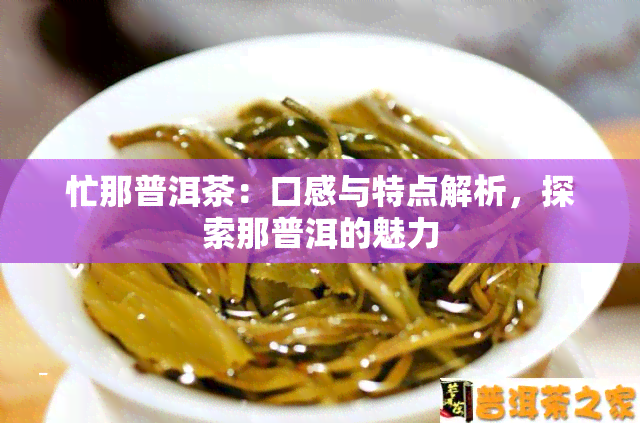 忙那普洱茶：口感与特点解析，探索那普洱的魅力